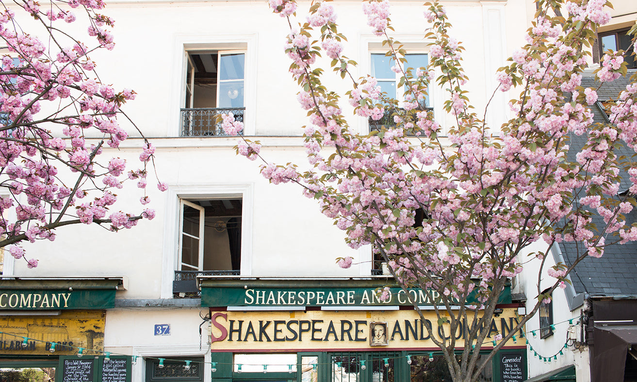 Cherry Blossoms at Shakespeare and Company - Every Day Paris 