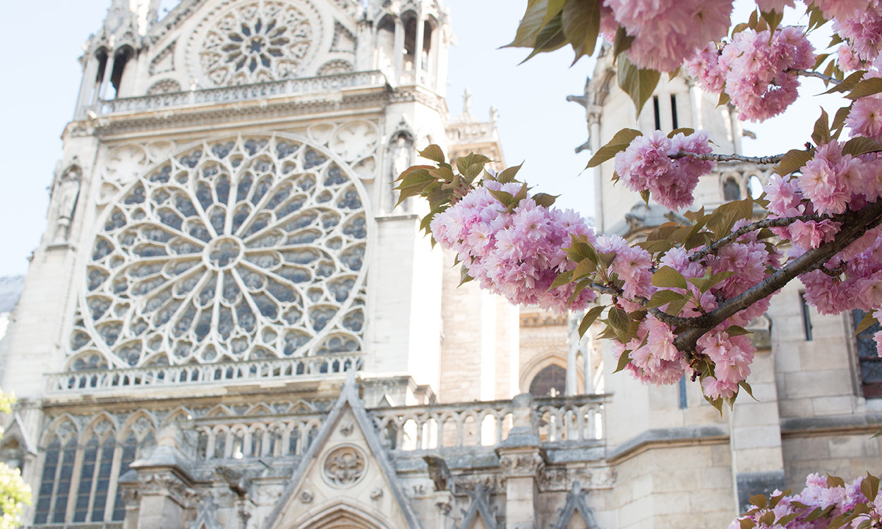 Notre Dame Spring in Bloom - Every Day Paris 