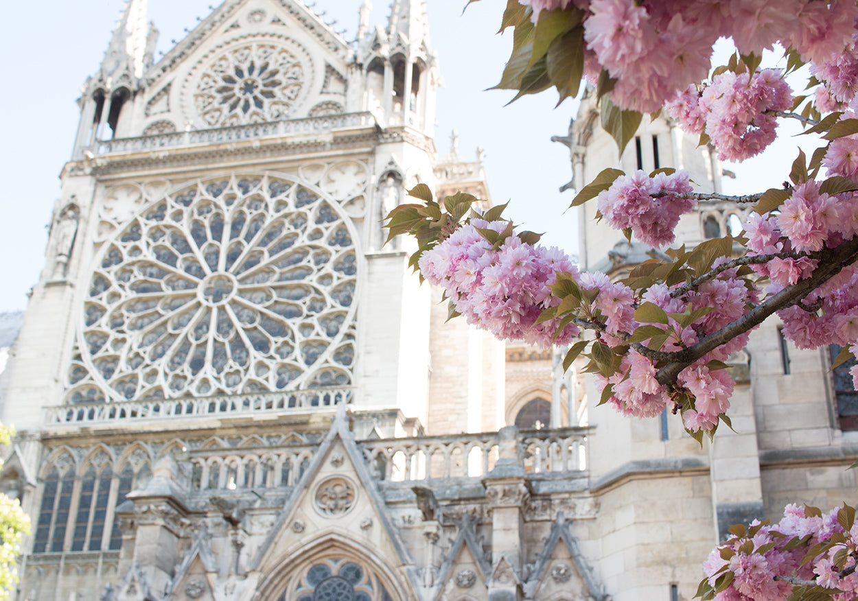 Notre Dame Spring in Bloom - Every Day Paris 