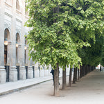 Spring Walk Through Palais Royal - Every Day Paris 