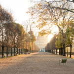 Fall Light in the Tuileries - Every Day Paris 