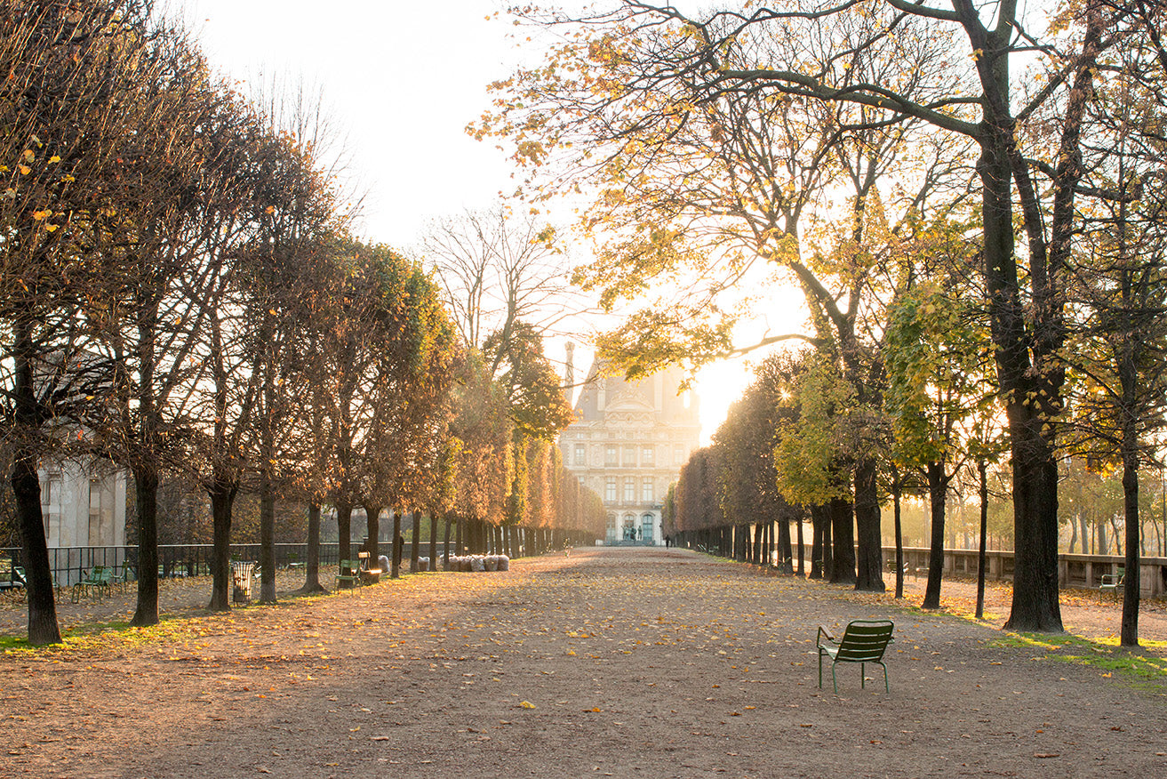 Fall Light in the Tuileries - Every Day Paris 