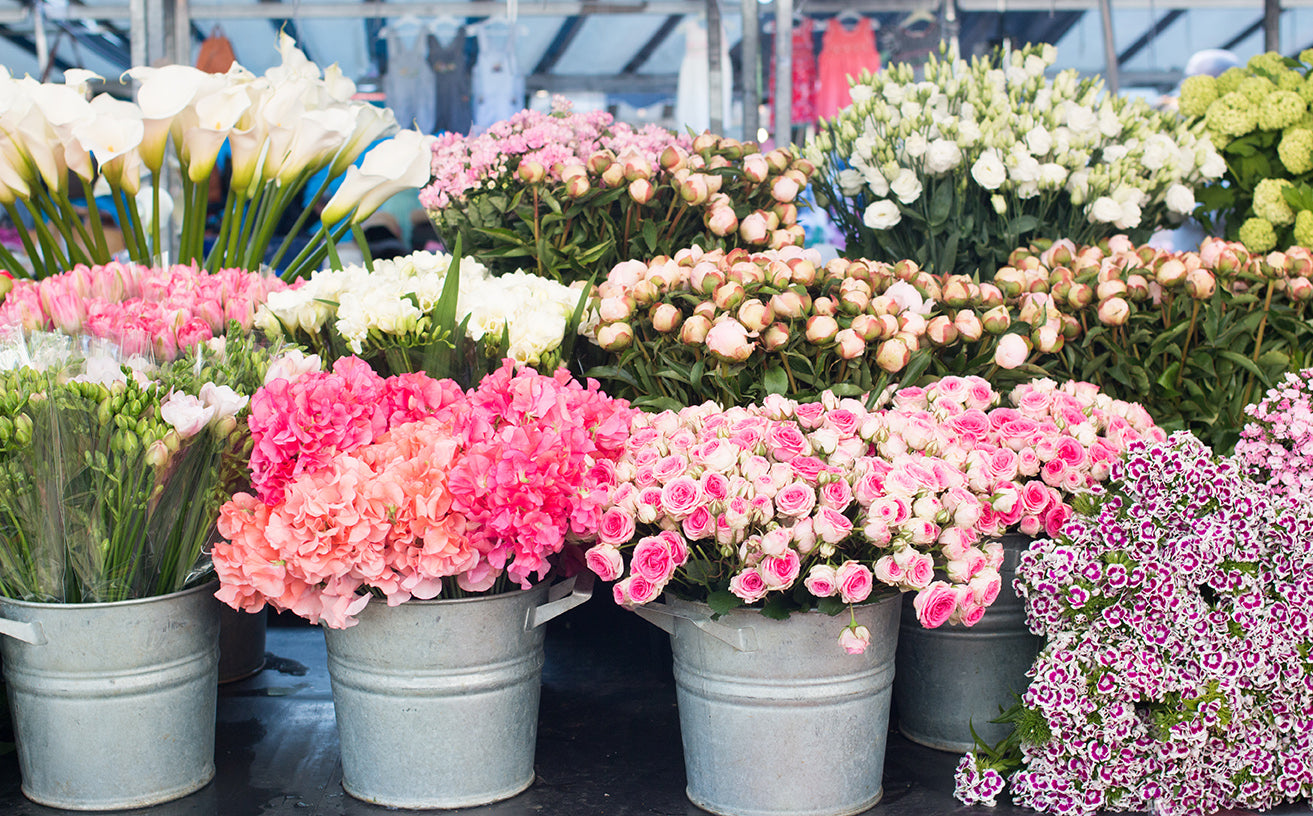 Bastille Flower Stand - Every Day Paris 