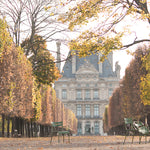 Fall Light in the Tuileries - Every Day Paris 