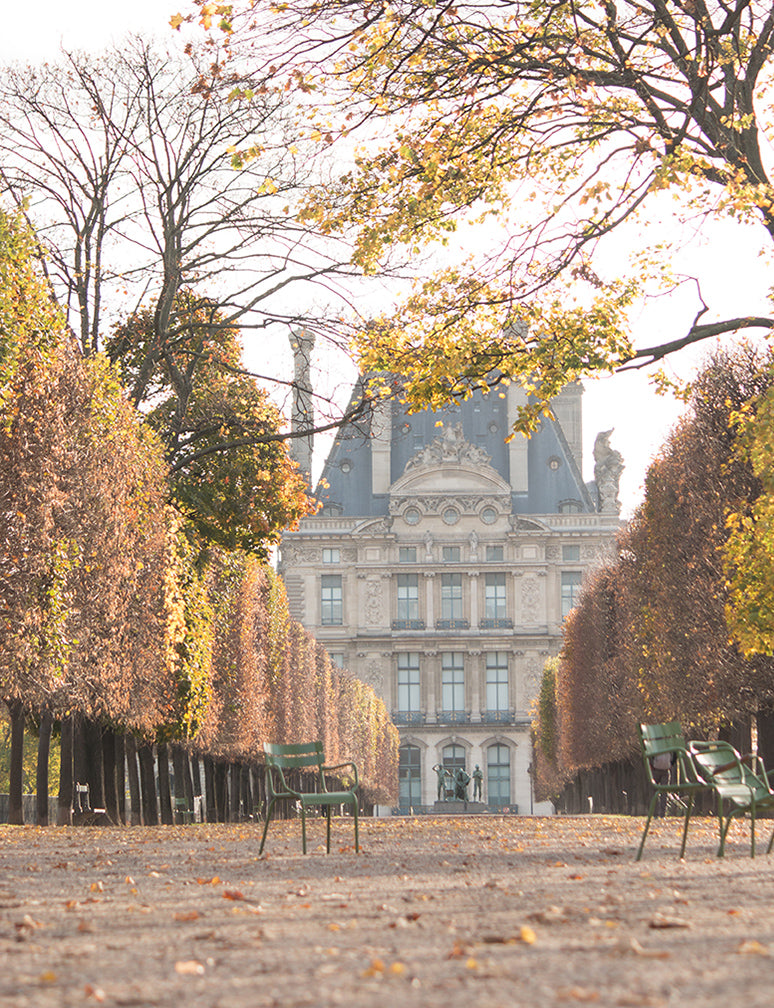 Fall Light in the Tuileries - Every Day Paris 