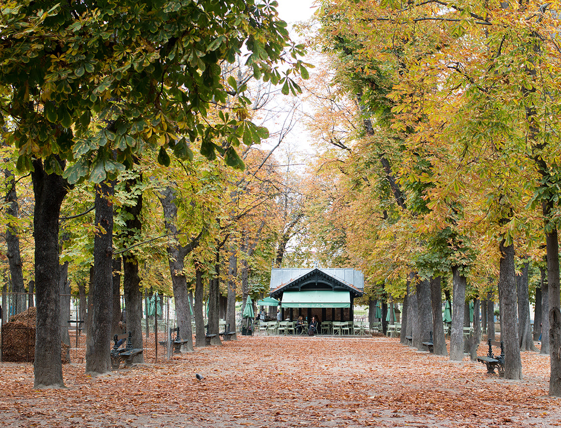 Fall in Luxembourg Gardens - Every Day Paris 