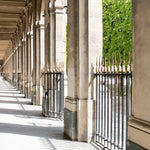 Spring Morning Light in Palais Royal - Every Day Paris 