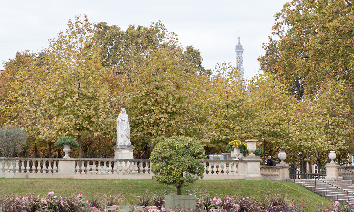 Luxembourg Dahlia Fall Gardens - Every Day Paris 