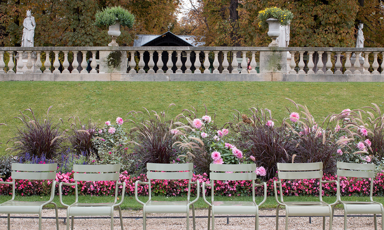 Luxembourg Dahlia Gardens in the Fall - Every Day Paris 