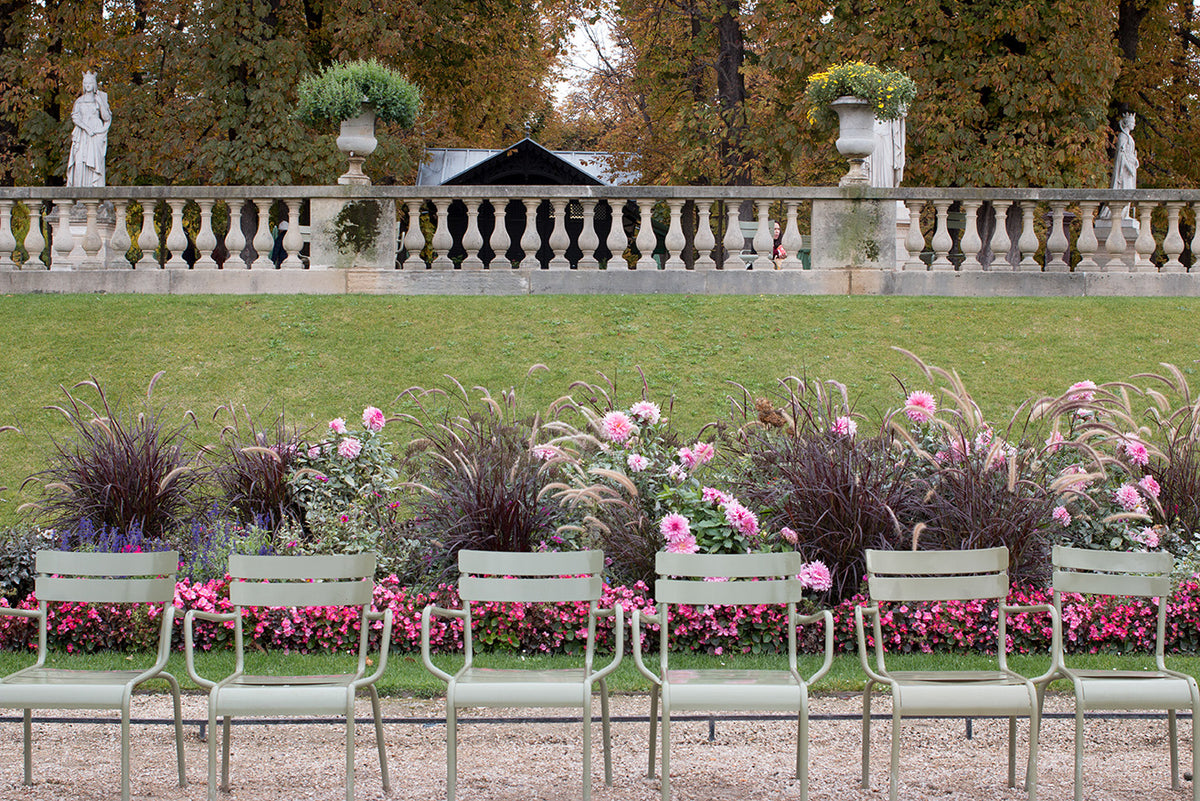 Luxembourg Dahlia Gardens in the Fall - Every Day Paris 