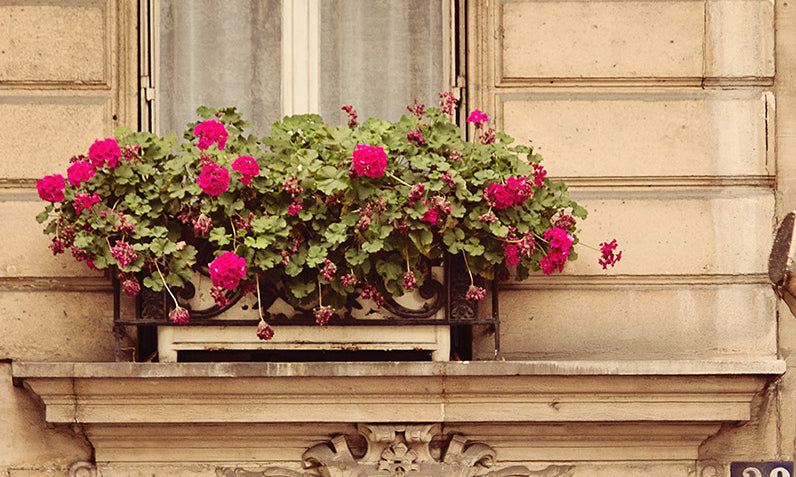 38 Boulevard Saint Germain - Every Day Paris 