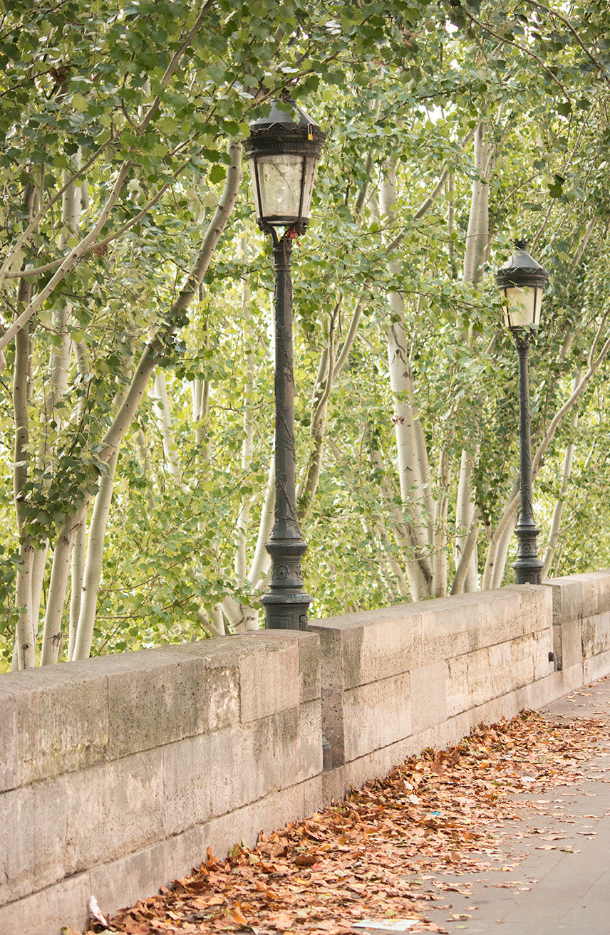 Fall Morning Stroll on The Seine - Every Day Paris 