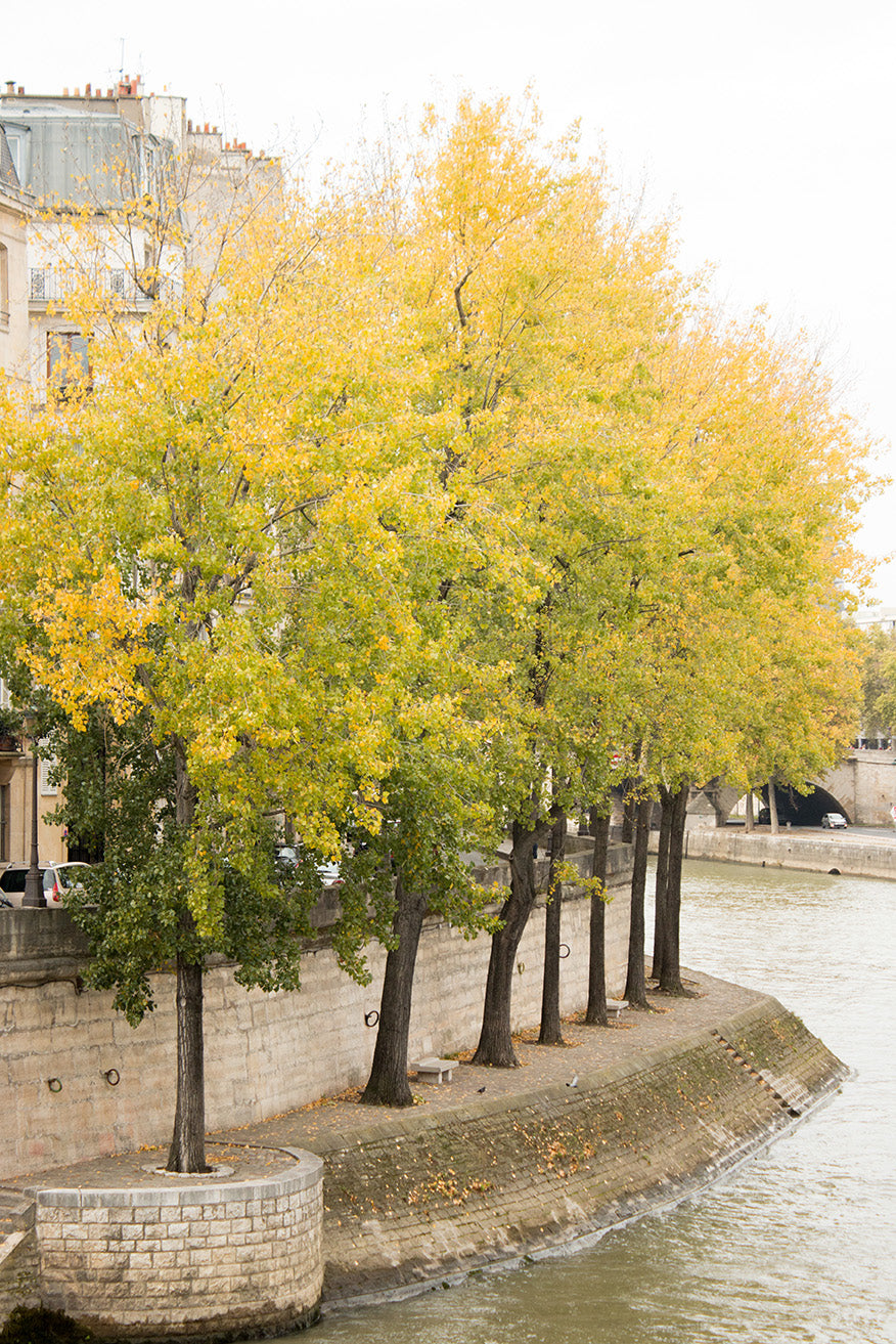 Fall Stroll on The Seine - Every Day Paris 
