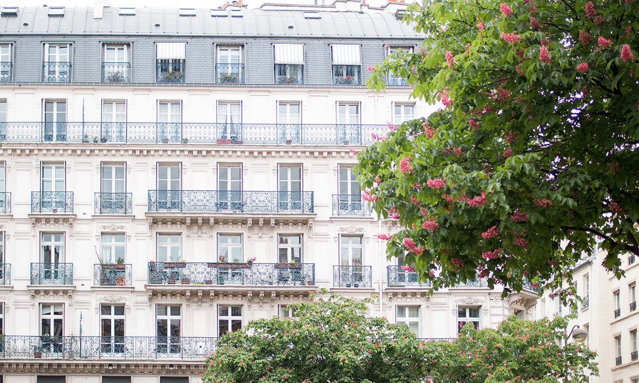 Spring Blossoms on the Right Bank of Paris - Every Day Paris 
