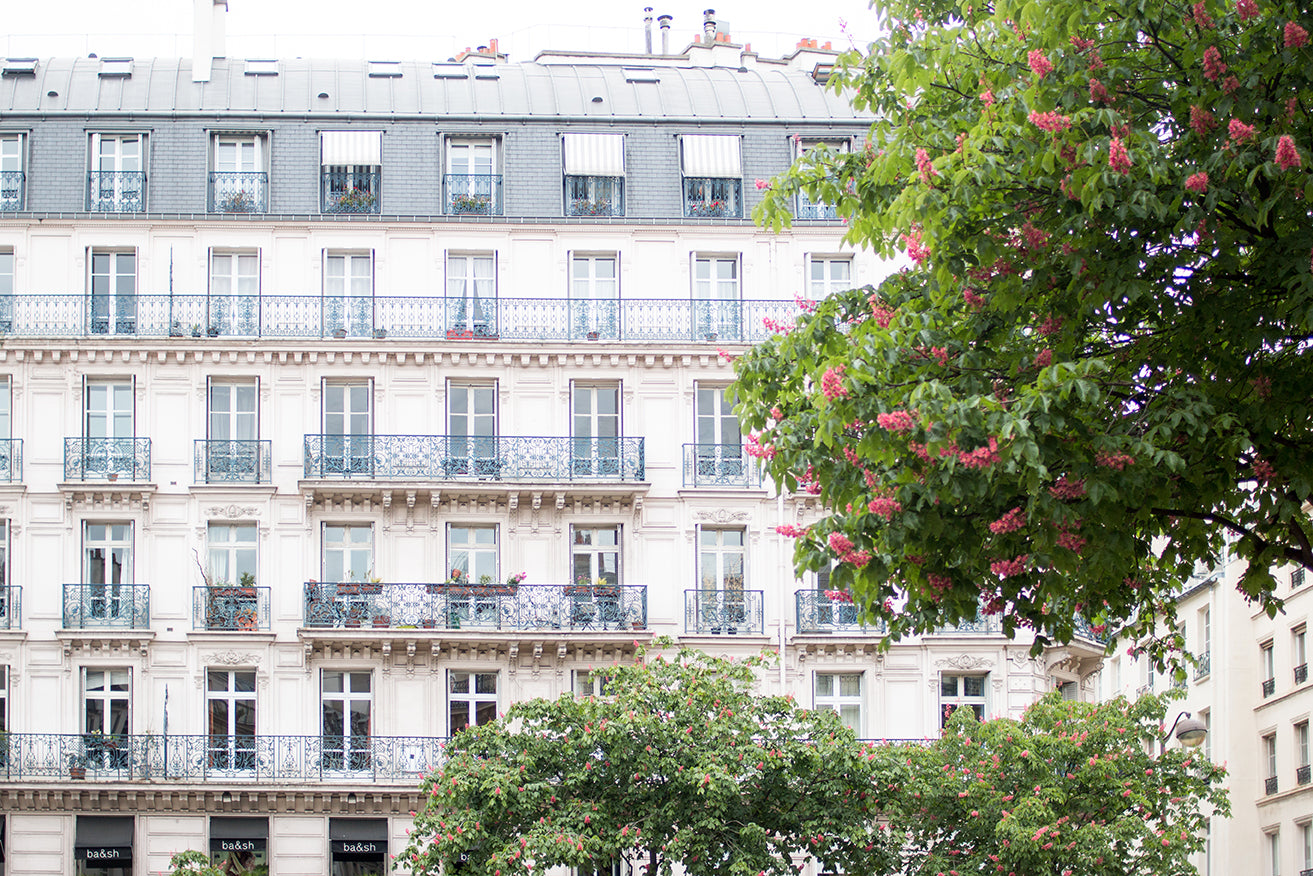 Spring Blossoms on the Right Bank of Paris - Every Day Paris 