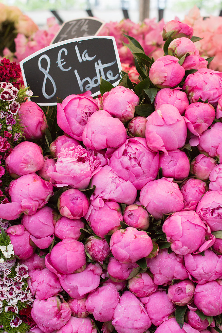 Pink Peonies for Sale at the Paris Market - Every Day Paris 