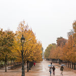 Rainy Afternoon in The Tuileries - Every Day Paris 