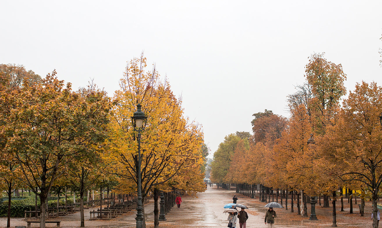 Rainy Afternoon in The Tuileries - Every Day Paris 