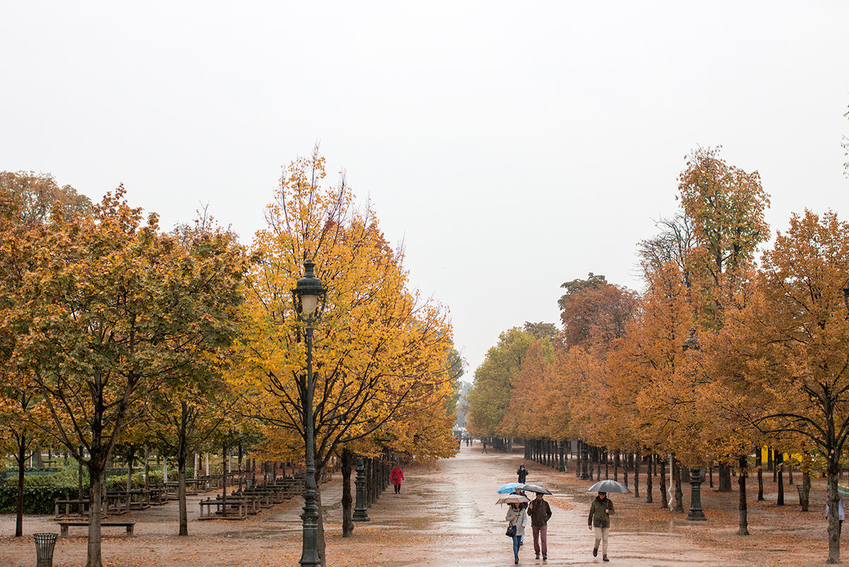 Rainy Afternoon in The Tuileries - Every Day Paris 