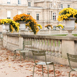 The Colors of Fall in Luxembourg Gardens - Every Day Paris 