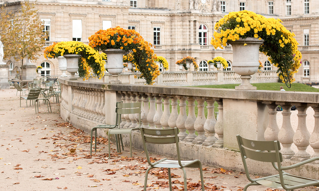 The Colors of Fall in Luxembourg Gardens - Every Day Paris 