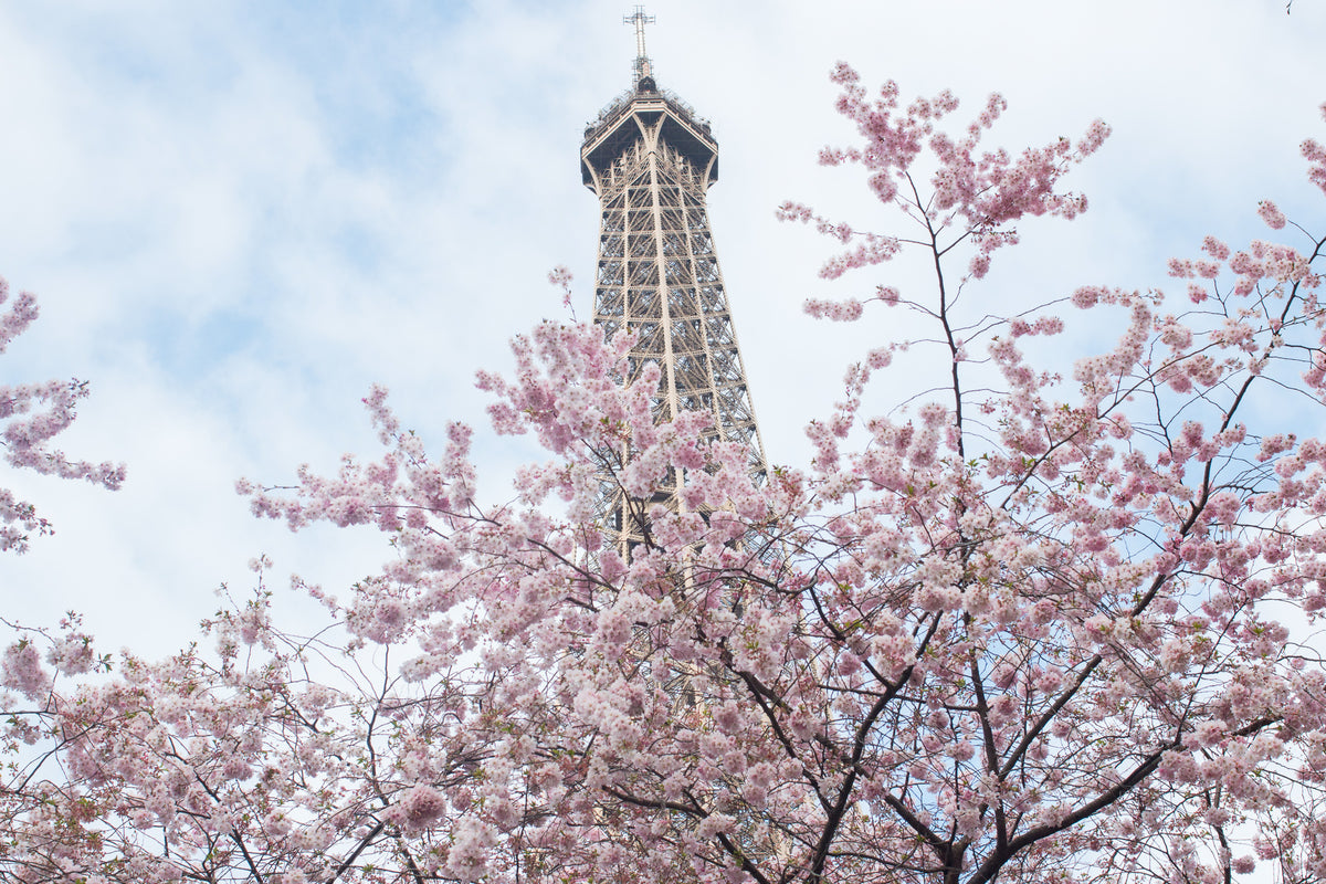 Eiffel Tower April in Paris