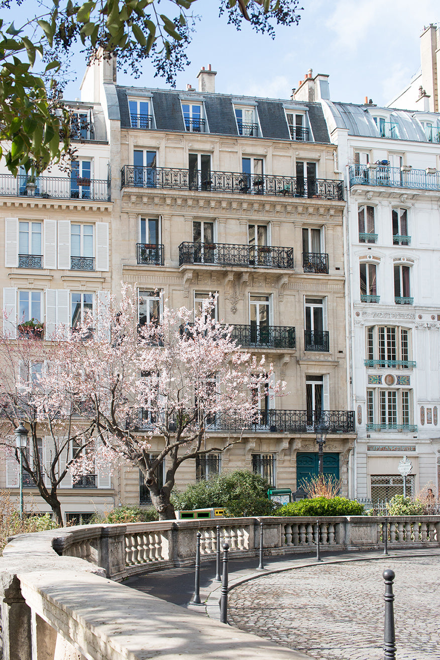 Spring Blossom Season in Paris