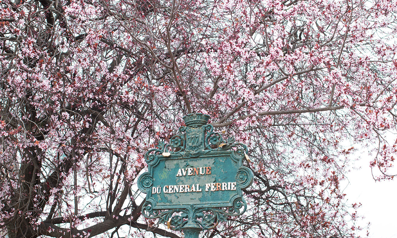 Spring on the Champs de Mars - Every Day Paris 