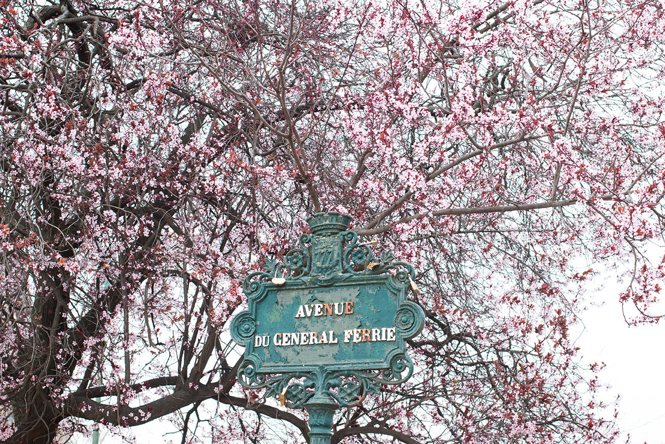 Spring on the Champs de Mars - Every Day Paris 