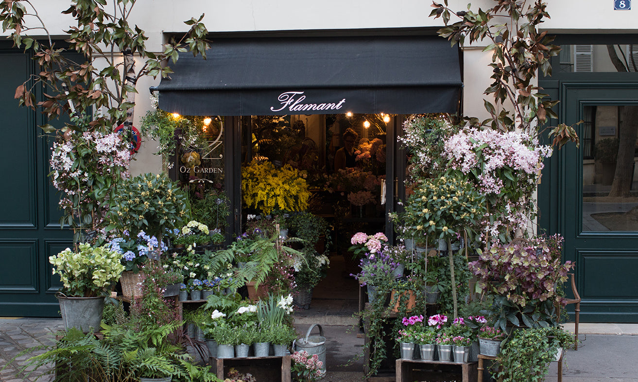 Left Bank Flower Shop in Paris in the Spring - Every Day Paris 