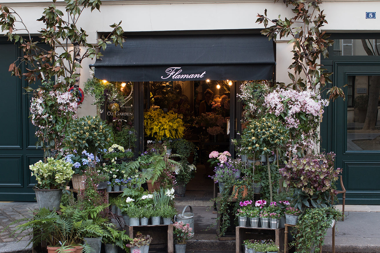 Left Bank Flower Shop in Paris in the Spring - Every Day Paris 