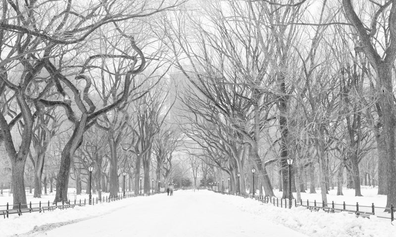 Snow in Central Park NYC - Every Day Paris 