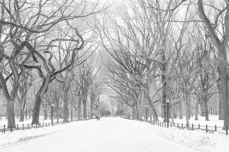 Snow in Central Park NYC - Every Day Paris 