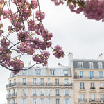 Paris in Bloom Along the Seine - Every Day Paris 