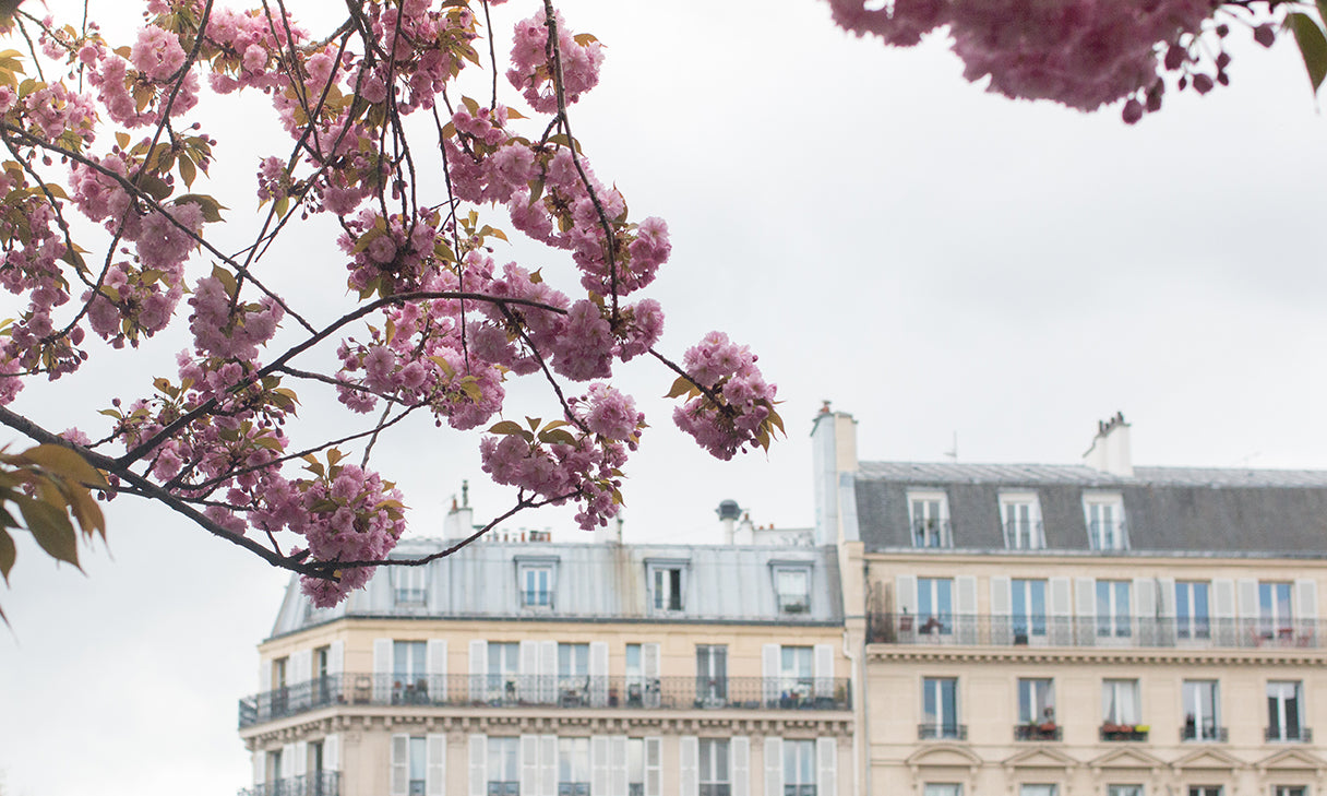 Paris in Bloom Along the Seine - Every Day Paris 