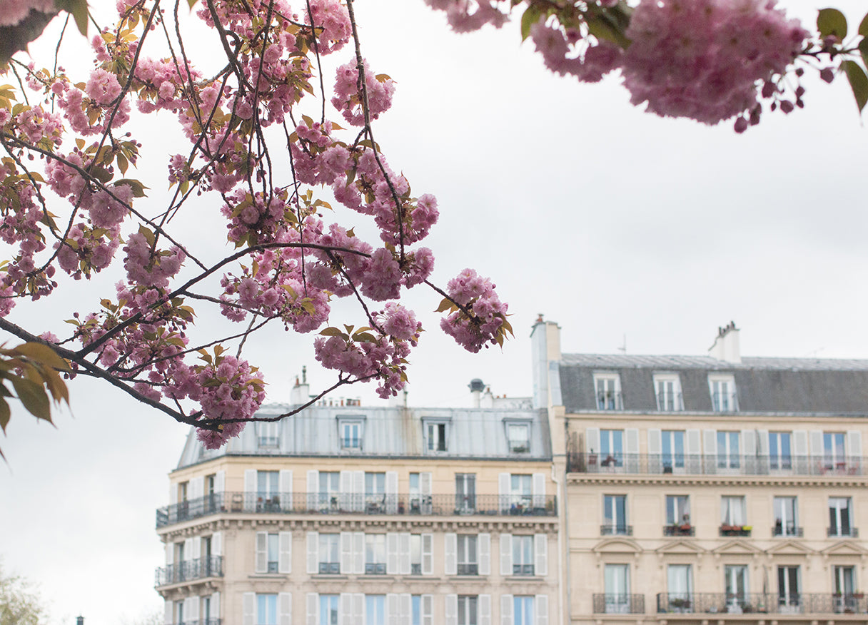 Paris in Bloom Along the Seine - Every Day Paris 