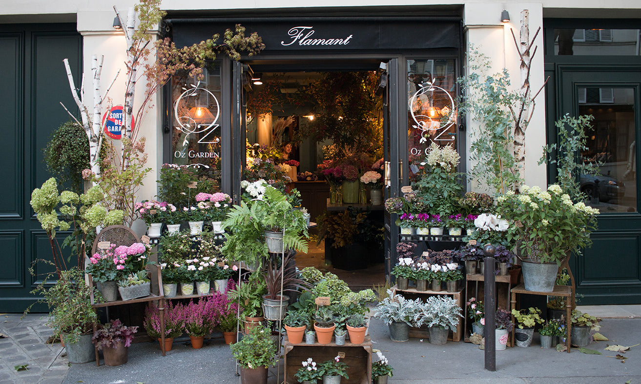 Left Bank Flower Shop in Paris in the Fall - Every Day Paris 