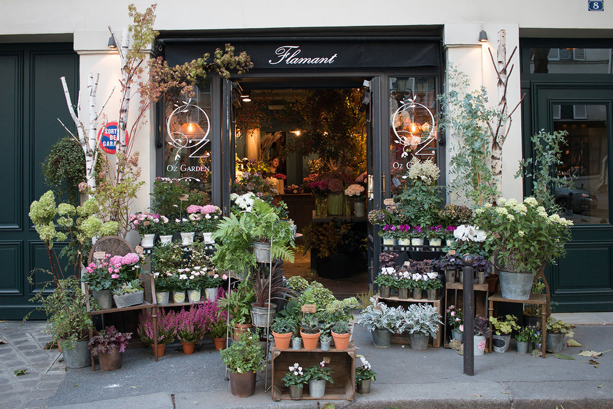 Left Bank Flower Shop in Paris in the Fall - Every Day Paris 