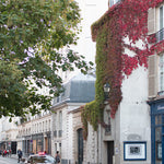 Left Bank Autumn Light - Every Day Paris 