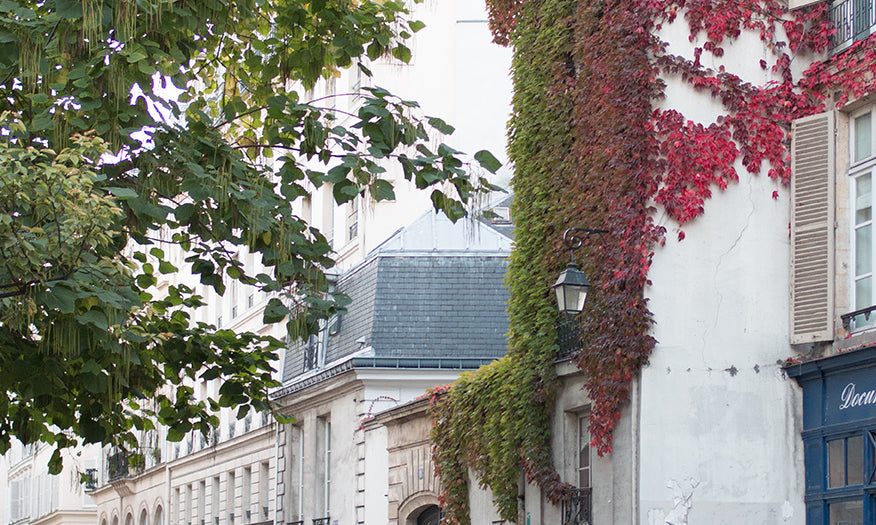 Left Bank Autumn Light - Every Day Paris 
