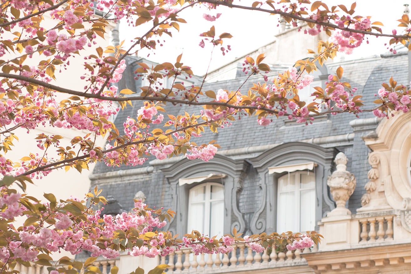 Spring in Parc Monceau - Every Day Paris 