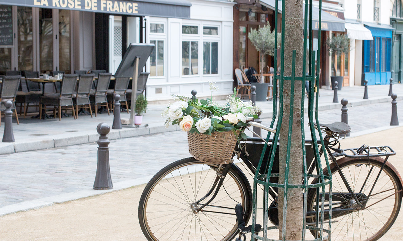 Bike in Place Dauphine Paris - Every Day Paris 