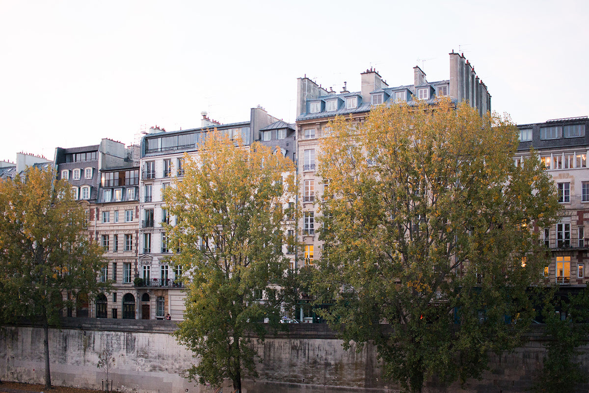 Autumn on The Seine