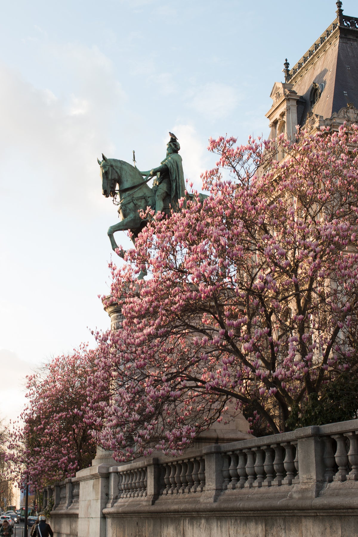 Hotel de Ville Magnolias in Bloom