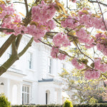 Streets of London in Bloom - Every Day Paris 