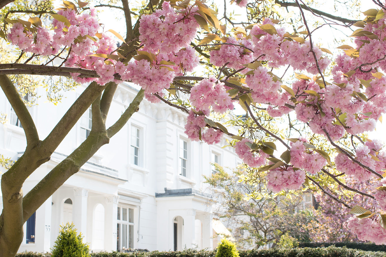 Streets of London in Bloom - Every Day Paris 