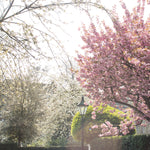 London Park in Bloom - Every Day Paris 