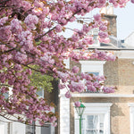 London in Bloom April - Every Day Paris 