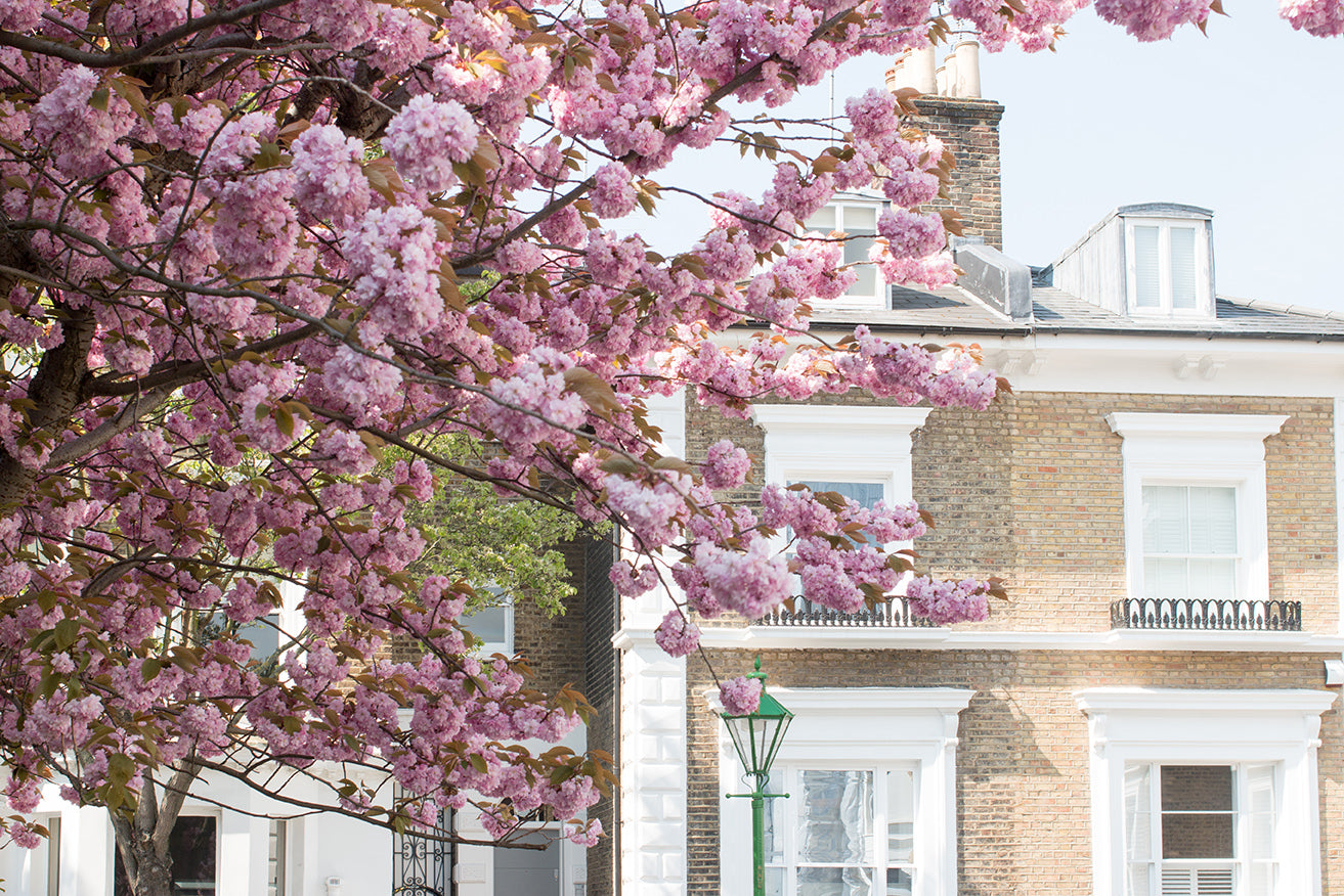 London in Bloom April - Every Day Paris 
