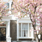 Spring Blossom Season in London - Every Day Paris 